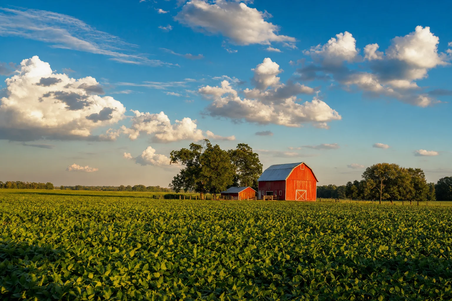 East Texas agricultural farmland with red barn under blue sky