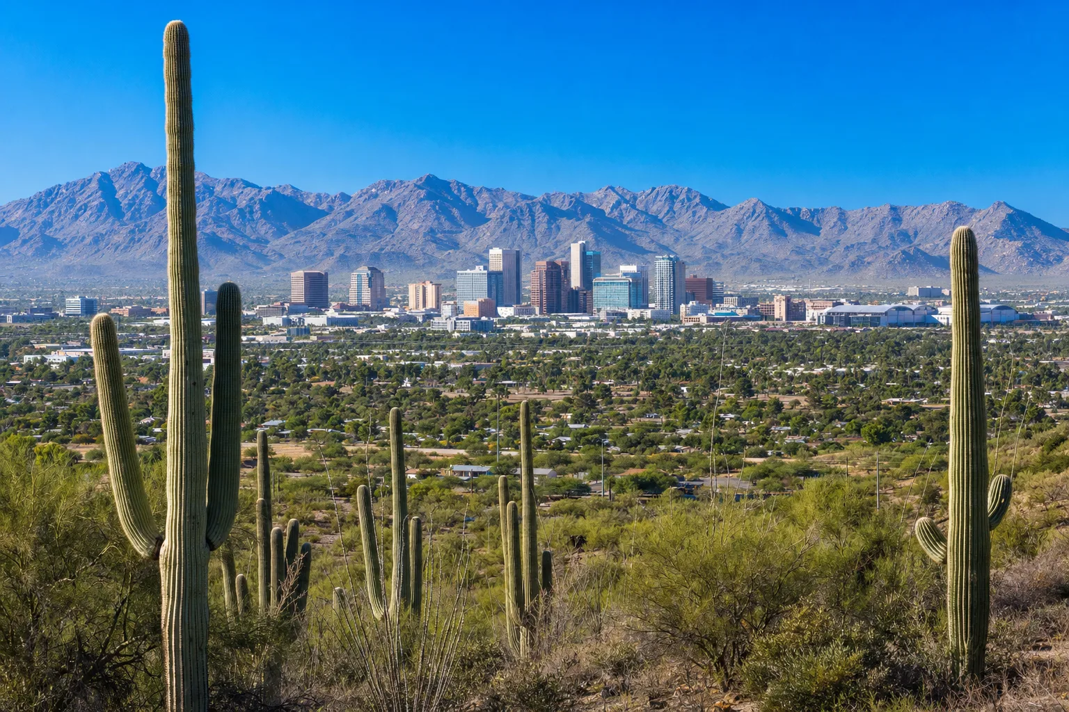 Phoenix, Arizona — lifestyle photo