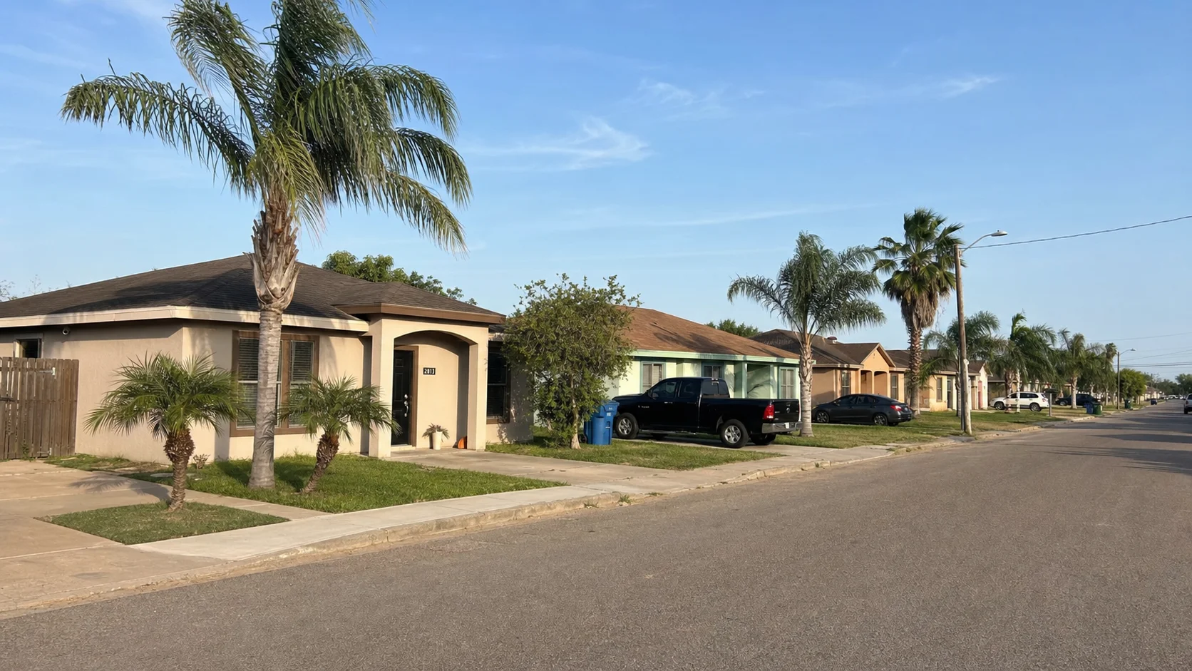 South Texas residential neighborhood near McAllen with palm trees