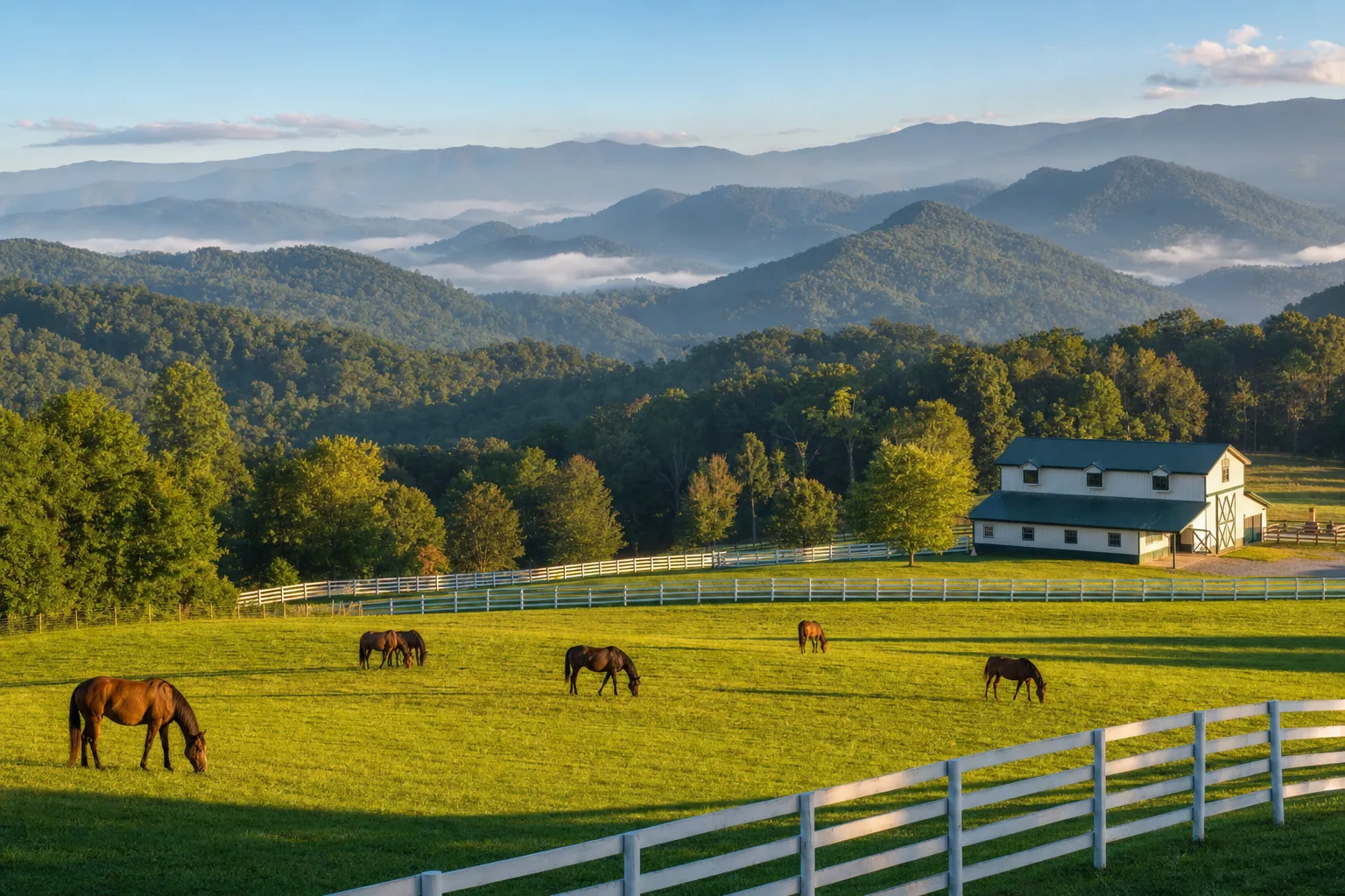 Tennessee — lifestyle photo