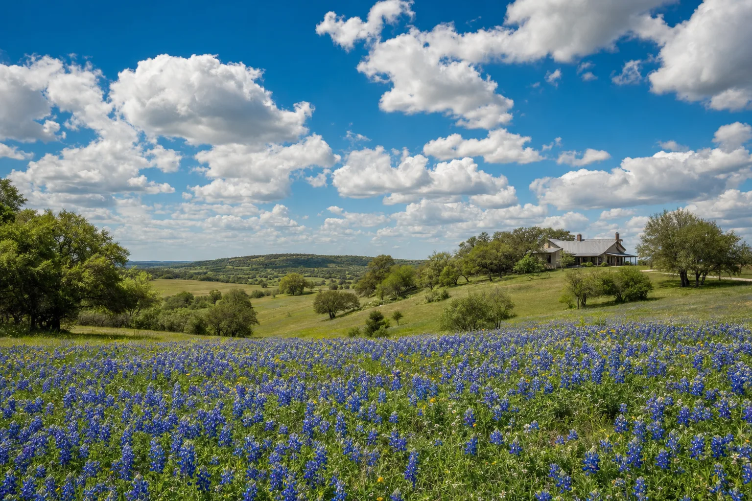 Texas — lifestyle photo