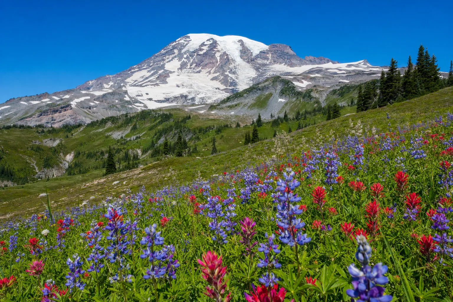 Washington State — lifestyle photo