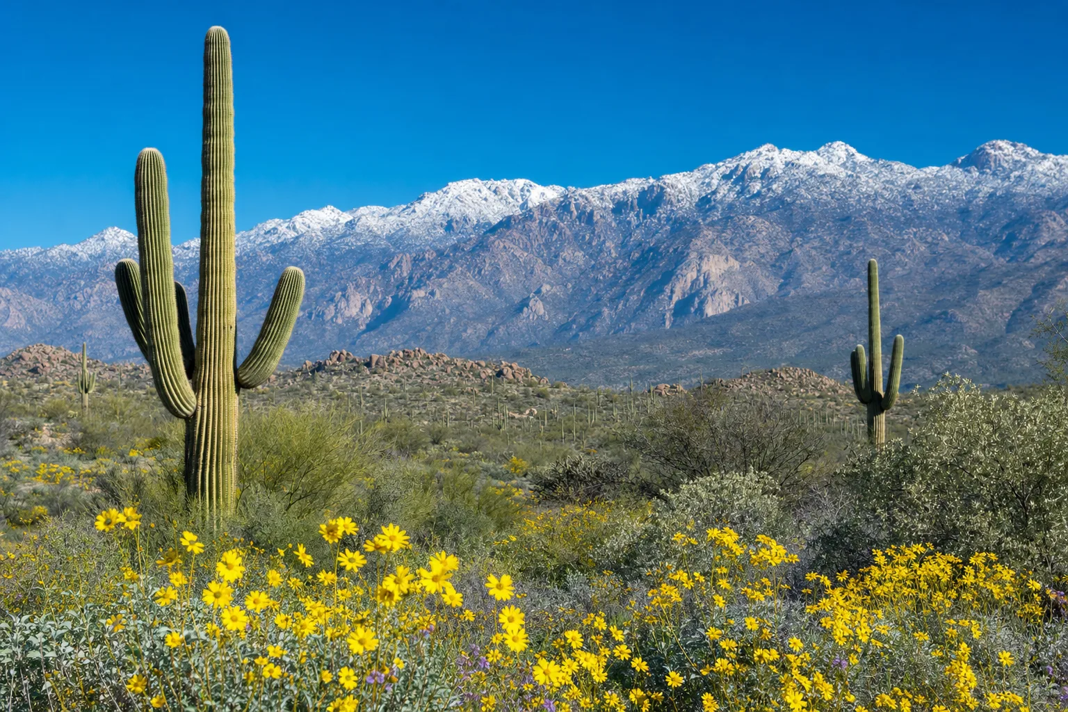 Tucson, Arizona — lifestyle photo
